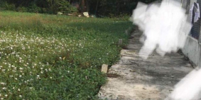 Đất đẹp giá tốt ở Phước Lâm Cần Giuộc