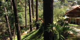 BÁN ĐẤT BIỆT THỰ ĐẸP TẠI PHƯỜNG 10 ĐÀ LẠT (CHÍNH CHỦ)