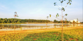 Đất trung tâm TP chỉ 470tr nhận ngay nền 150m2 full thổ cư rẻ hơn thị trường 46%