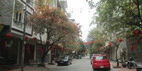 Tôi bán đất đấu giá Mậu Lương, Kiến Hưng gần chợ 66m2 chỉ 4.56 tỷ.