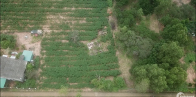 Chủ Cần Bán lô 25*50m gần QL55 Sơn Mỹ-Hàm Tân