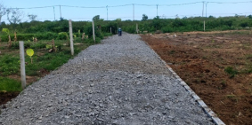 Bán đất khu dân cư giồng ao thị trấn cần thạnh cần giờ gần vinhgroup