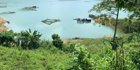 Bán đất tại hòa bình, mảnh đất 1.5 ha có thổ củ và đất vườn trồng cây lâu năm