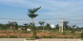 Còn vài lô cuối trong giỏ hàng Tam Anh cho ai nhanh tay