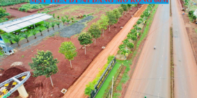 Chiết khấu khủng mùa Covid đầu tư ngay đất nền Bình Phước giá tốt chỉ 400tr/ nền