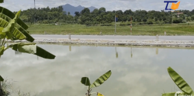 222m2 Trung Hưng Sơn Tây Hà Nội Cần Bán