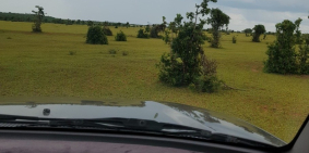 Chỉ 538tr có 4144m2 đất vườn bình thuận cách đường liên huyện 100m Lh 0938677909