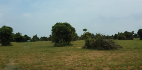 Bán đất vườn bình thuận mặt tiền đường liên xã ra biển hoà thắng Lh 0385 230.667