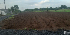 Bán 2,9 sào đất tại thị trấn Đất Đỏ, huyện Đất Đỏ