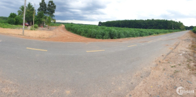 Đất nền giá rẻ đầu tư 10.5x98m= 1000m2 sổ hồng, 280 triệu ngay KCN Tân Hội TN