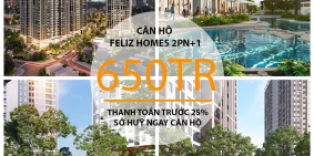 Feliz Homes, 2.5 tỷ căn hộ view hồ Đền Lừ