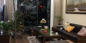 Chính chủ bán cắt lỗ căn hộ chung cư cao cấp 6Th Element – 2 ngủ - sổ đỏ chính c