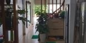 BÁN PHÂN LÔ KHU ĐẤU GIÁ - Ô TÔ TRÁNH - KINH DOANH!