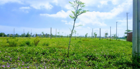 CẦN BÁN LÔ ĐẤT ĐỐI DIỆN CÔNG VIÊN CHỈ 1TY6 NAM ĐÀ NẴNG