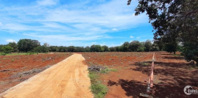 cần sang gấp lô đất về quê thăm vợ con