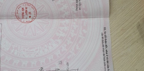 E Cần tiền nên bán dãy nhà trọ Chính chủ ở Khánh Bình ,Tân Uyên