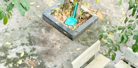 Cho thuê Biệt thự 165m2 đường Phạm Thế Hiển Phường 5 Quận 8