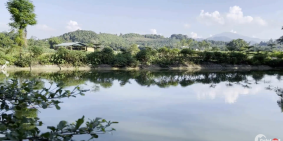 Đẹp Số 1 Yên Bài Ba Vì Lô đất 4983m2 Giá Chỉ Hơn 2tr/1m2 Liên Hệ A Tiến