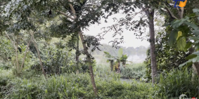 Bán Ngay Lô đất Đẹp Mê ly Giá thành rẻ 3100m2 Tại Yên Bài Ba Vì