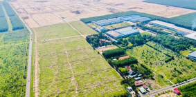 Đất đấu giá giai đoạn đầu giá rẻ