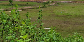 Bán lô đất 33.000m2, đất có sổ cạnh KCN Việt Tiến, Việt Yên, BG. Chỉ 20 tỷ.