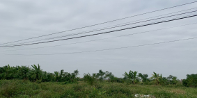 Sang nhượng 4390m2 đất Công Nghiệp tại Xuân Trường Nam Định giá 62 tỷ