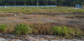 Bán đất nền Tx Bến cát, sổ hồng riêng,15,8 triệu/m2