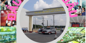 Tạo sóng thị trường với khu đô thị phức hợp thương mại Bình Dương. Sổ đầy đủ