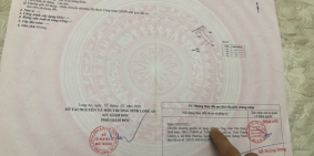 Gia đình muốn bán gấp đất Ấp 2 Long Hòa , Cần Đước , Long An .