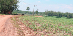 Bán đất 1000m2 giá 350triệu, đường 2 oto, cách trung tâm thị trấn 03km