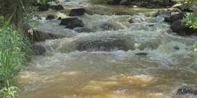 Cần ra đi 1.3ha đất view suối Gia Hiệp-Di Linh, tiện đầu tư-nghỉ dưỡng