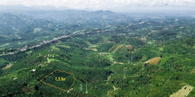 Chính Chủ Cần Bán Lô Đất Đẹp Vị Trí Đắc Địa Tại Thôn 9, Xã Liên Đầm, Di Linh, LĐ