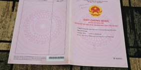 SIÊU PHẨM THÁNG 11 NÀY!! ĐẤT TÂN THÀNH, ĐỒNG XOÀI GIÁ CHỈ 430 TRIỆU/355M2,