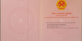 Cần bán ngay 2 lô đất 300m2 và 405m2 ở Tân Mỹ, Long An