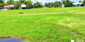 890 m ĐẤT THỔ CƯ, Đường Mặt Tiền, 1.7 tỷ, Tân Nghĩa, Hàm Tân, Bình Thuận