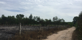 Cần Bán Lô 57x50m Đường Nhánh Số 3 Sơn Mỹ - Bình Thuận