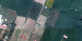 chính chủ cần bán gấp 2 mảnh đất 600m2 sát dt756b kp2 thị trấn tân khai hớn quản