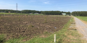 Bán lô đất 1200m2 nằm ngay khu dân dư, Trục đường chính Nguyễn Thị Rành .Giá 1.6