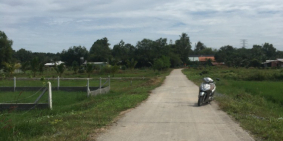 ĐẤT SÁT MẶT ĐƯỜNG NGUYỄN THỊ RÀNH, CỦ CHI, SHR, CẦN BÁN GẤP