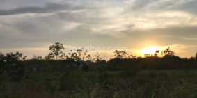 Bán 3016m2 đất gần biển Cam Bình, Tân Phước, Lagi - 104m mặt tiền