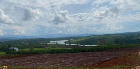 Đất phân lô Đà Lạt View Hồ Phúc Thọ, Lâm Hà, Lâm Đồng gần 2 Ha chỉ nhỉnh 9 tỷ.