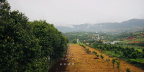 Bán đất nền nghỉ dưỡng Eden Hills Đà Lạt có SHR và tặng vuờn rau, hỗ trợ chăm só