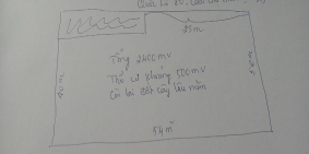 CHÍNH CHỦ BÁN LÔ ĐẤT MẶT TIỀN RỘNG TẠI ẤP VĨNH PHÚ, XÃ BÌNH THÀNH, HUYỆN LẤP VÒ,