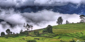 ĐÓN SÓNG DU LỊCH 4 MÙA bán lô đất 552m PHÌN HỒ,Y TÝ ( SAPA2 ), Bát Xát, Lào Cai