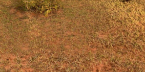 Bán đất vườn bình thuận 597tr cách dân cư và đường hiện hữu 700m Lh 0938677909