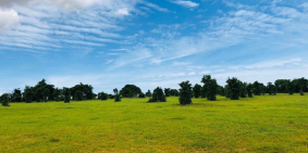 Bán lô đất cuối cùng giá 95k/m2 thuộc thị trấn Chợ Lầu, sổ đỏ sẵn, bao sang tên