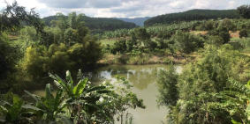 Bán đất sào view đẹp nghỉ dưỡng, đường ô tô xã N'Thol Hạ huyện Đức Trọng.