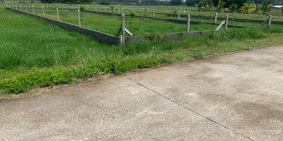 còn 2 lô đất đẹp 566m2 2ty050 SHR - xã Phước Hiệp, Củ Chi