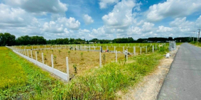 Đất vườn củ chi giá ngộp 1000m2 đường nhựa, 2 mặt tiền, sổ hồng riêng.