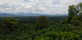 Bán lô đất view cao dốc 800, Tân Văn, Lâm Hà